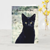 Hübsche schwarze Katze, die über Ihre Karte nachde (Gelbe Blume)