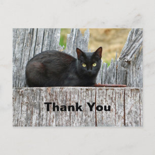 Hübsche schwarze Katze Log Foto Danke Postkarte