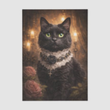 Hübsche schwarze Katze 