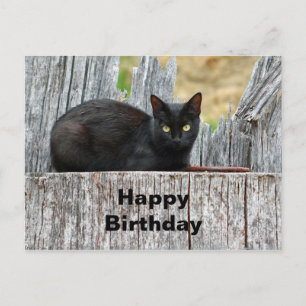 Hübsche schwarze Katzen-Log-Foto-Geburtstag Postkarte