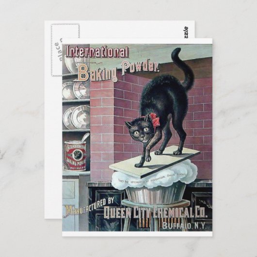 Hübsche Schwarzkatze Vintages Backpulver Poster Postkarte (Vorne/Hinten)