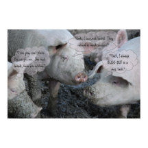 Hübsche Schweine "Wellness-Center" Mud Facial & Mu