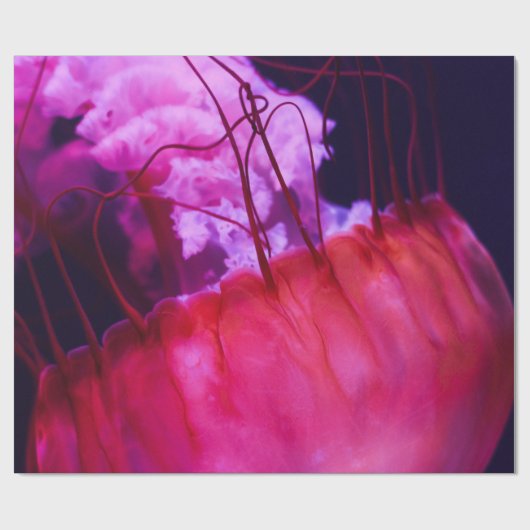 Hübsche Seascape Geschenkpapier (Flach)