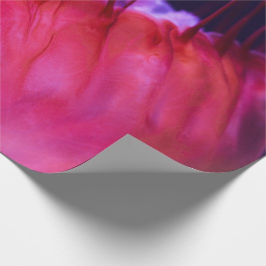 Hübsche Seascape Geschenkpapier (Ecke)