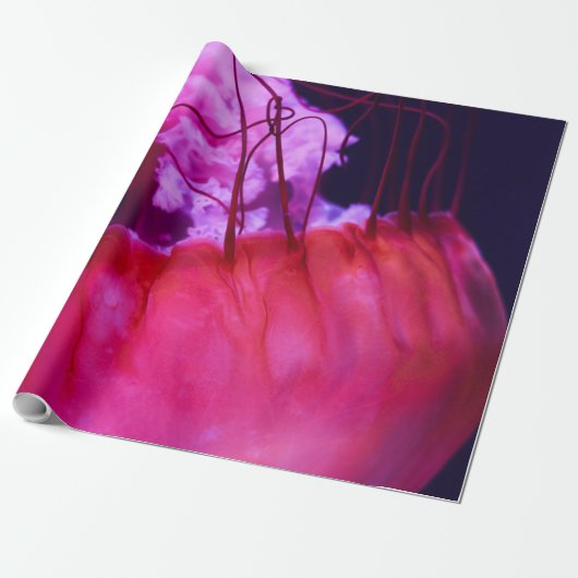 Hübsche Seascape Geschenkpapier (Ungerollt)