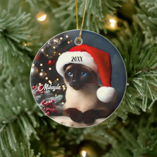 Hübsche siamesische Katze in einer Weihnachtsmannm Keramik Ornament