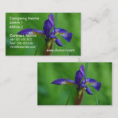 Hübsche sibirische Iris Visitenkarte (Vorne/Hinten)