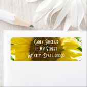 Hübsche Sonnenblume (Insitu)