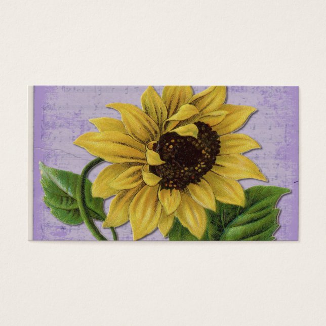 Hübsche Sonnenblume auf Notenmusik (Vorderseite)