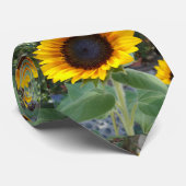 Hübsche Sonnenblume Krawatte (Gerollt)