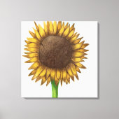 Hübsche Sonnenblume Leinwanddruck (Vorderseite)