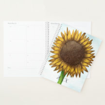 Hübsche Sonnenblume