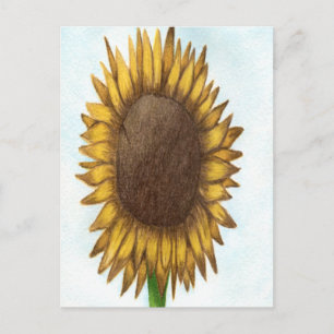 Hübsche Sonnenblume Postkarte