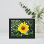Hübsche Sonnenblume Postkarte (Stehend Vorderseite)