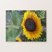 Hübsche Sonnenblume Puzzle (Horizontal)