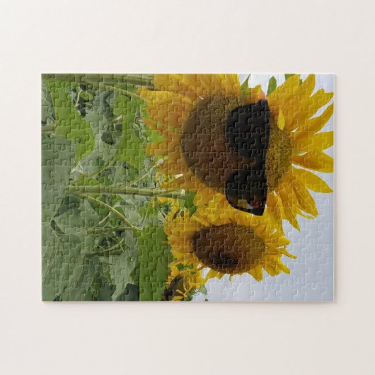 Hübsche Sonnenblumen mit Sonnenbrille Puzzle (Horizontal)