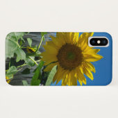 Hübsche Sonnenblumenfotografie Case-Mate iPhone Hülle (Rückseite (Horizontal))