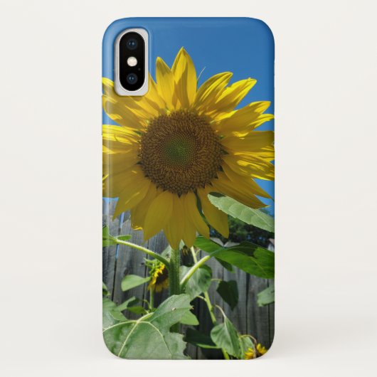 Hübsche Sonnenblumenfotografie Case-Mate iPhone Hülle (Rückseite)
