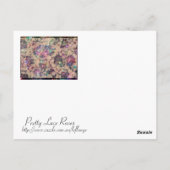 Hübsche Spitzen-Rose Postkarte (Rückseite)