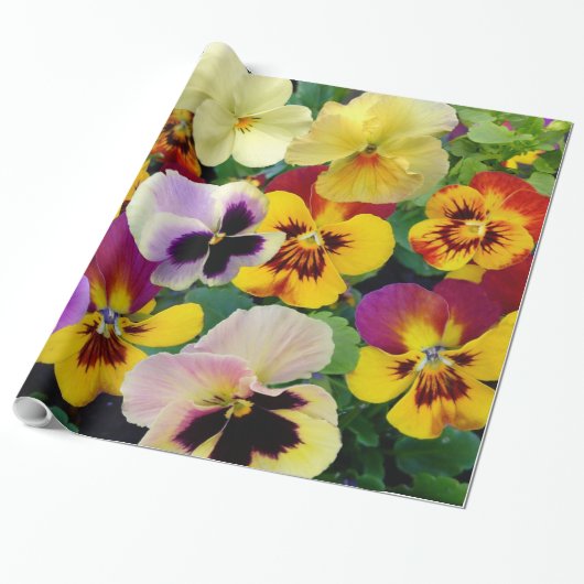 Hübsche Stiefmütterchen Geschenkpapier (Ungerollt)