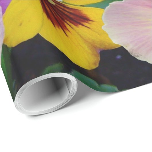 Hübsche Stiefmütterchen Geschenkpapier (Rolleneckpunkt)