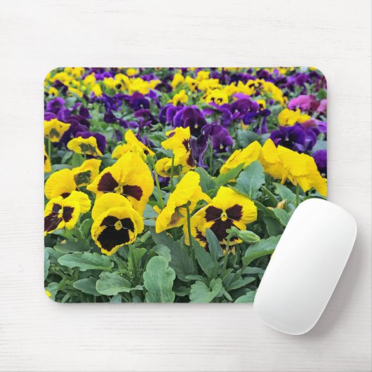 Hübsche Stiefmütterchen in einem Greenhouse Mousepad (Mit Mouse)