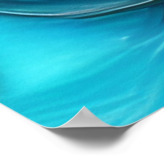 Hübsche Stiefmütterchen Poster (Ecke)