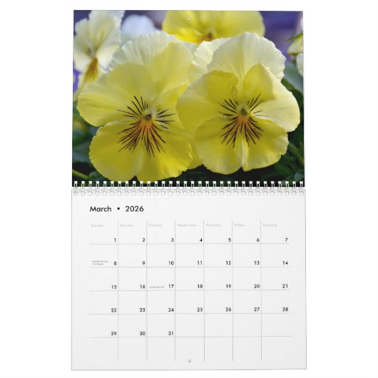 Hübsche Stiefmütterchen und Primaten Kalender (Mär 2026)