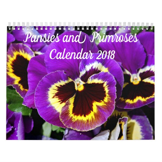 Hübsche Stiefmütterchen und Primaten Kalender (Titelbild)