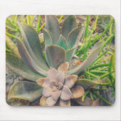 Hübsche Sukkuläre Pflanze Mousepad (Vorne)