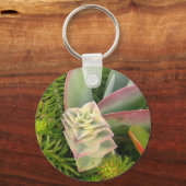 Hübsche Sukkuline Schlüsselanhänger (Vorderseite)