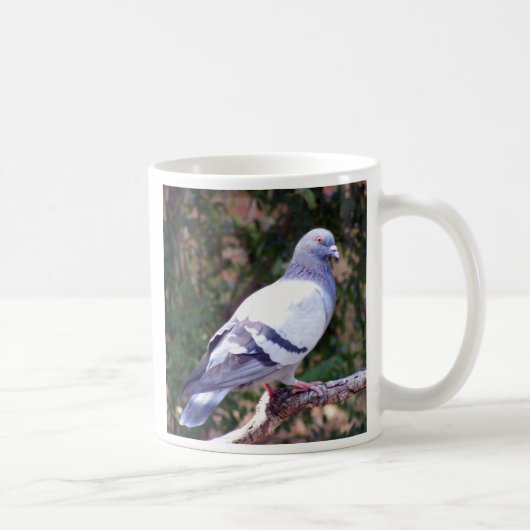 Hübsche Taube Kaffeetasse (Rechts)