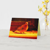 Hübsche Taube Karte (Gelbe Blume)