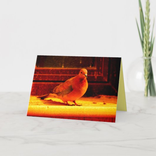 Hübsche Taube Karte (Vorderseite)