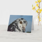 Hübsche Taube Karte (Gelbe Blume)