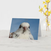 Hübsche Taube Karte (Gelbe Blume)