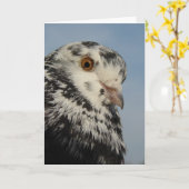 Hübsche Taube Karte (Gelbe Blume)