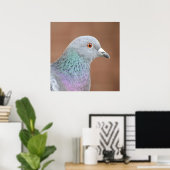 Hübsche Taube Poster (Heimbüro)