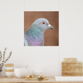 Hübsche Taube Poster (Küche)