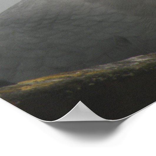 Hübsche Taubenschrift Poster (Ecke)