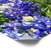 Hübsche Texas Bluebonnet Blume Hill Country Art Poster (Ecke)