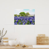 Hübsche Texas Bluebonnet Blume Hill Country Art Poster (Küche)