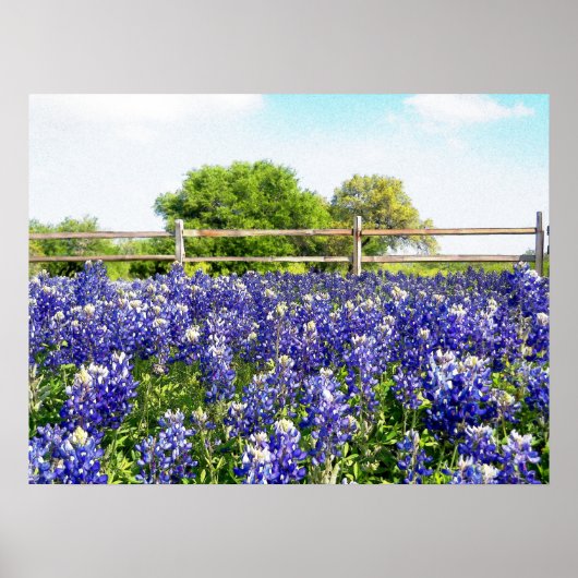 Hübsche Texas Bluebonnet Blume Hill Country Art Poster (Vorne)