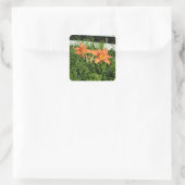 Hübsche Tiger Lilien neben Zaun Quadratischer Aufkleber (Tasche)