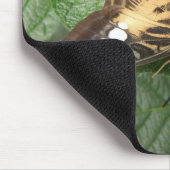 Hübsche Tropenklipper-Butterfly-Mousepad Mousepad (Ecke)