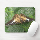 Hübsche Tropenklipper-Butterfly-Mousepad Mousepad (Mit Mouse)