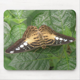 Hübsche Tropenklipper-Butterfly-Mousepad Mousepad