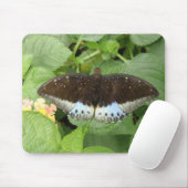 Hübsche Tropenschmetterlingsmousepad Mousepad (Mit Mouse)