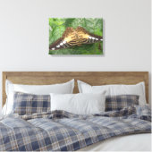Hübsche Tropical Clipper Butterfly Canvas Leinwanddruck (Insitu (Schlafzimmer))