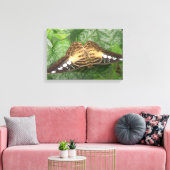 Hübsche Tropical Clipper Butterfly Canvas Leinwanddruck (Insitu (Wohnzimmer))